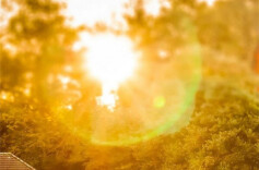 楼道亮了 人心暖了——六旬党员夫妇的“春天故事”