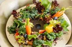 春鲜萌动②丨山野之魂，春味入馔：一份“野”趣如何征服现代餐桌？