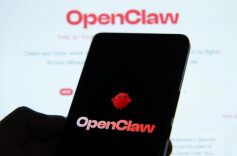 全网抢着养的“龙虾”，到底什么来头？普通人适合“养”吗？专家详解——