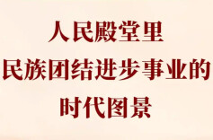 人民殿堂里，民族团结进步事业的时代图景