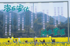 2026湖南油菜花节安化分会场启幕 以花为媒绘就农文旅融合新图景