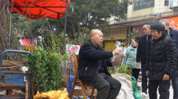 蓝山：春来花木俏 市场交易忙