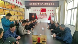 烹出产业振兴“一杯好茶” 洞口县大屋瑶族乡以茶为媒赋能农文旅融合