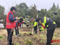 湘西高速猛洞河管理所开展植树活动