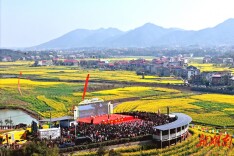 2026湖南油菜花节暨娄底双峰第十五届油菜花文旅推广（体验）月活动开幕