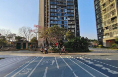 “物业管理”应改成“物业服务” 住房城乡建设部：采纳！