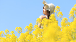 组图 | 雨母山油菜花开了！快来奔赴一场春日之约