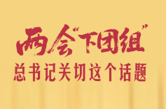 一见·两会“下团组”，总书记关切这个话题