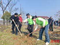 杏子铺镇：全民植树绘生态 旅游景点添新绿