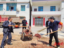 双峰县杏子铺镇开展春季人居环境整治大行动