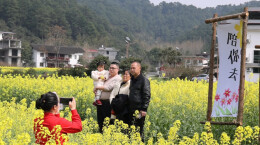 新宁崀山万亩油菜花开，美景化身“美丽经济”