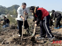 植树添绿正当时 浏阳文家市镇开展义务植树活动