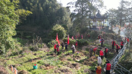 城步开展2026年义务植树活动 干群携手为南山国家公园增绿添彩