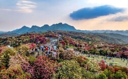 快出发！这些地方陆续美成仙境！