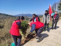 绥宁县残联：植树添新绿，帮扶促振兴