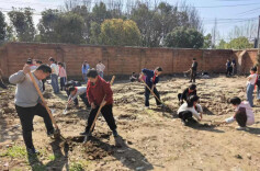 播种绿色希望 守护美丽校园——大通湖区河坝镇老河口完小开展植树节跨学科实践活动