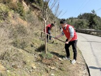 洞口县渣坪乡：和春天有个“约会”