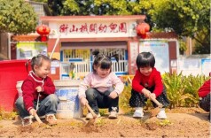 衡山县机关幼儿园开展植树节主题活动