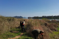 抓实防汛应急演练 提升抢险处置能力