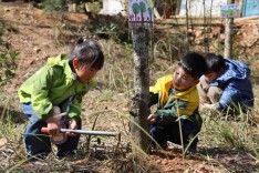  会同县第一幼儿园：童心护绿践成长 自然育人润童心