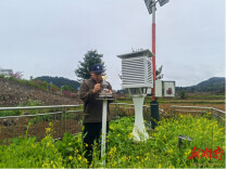 新田：“气象医生”进田间 把脉问诊护汛安