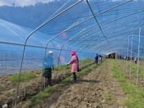 春回郴州·种下希望丨桂东寨前：山村新变聚民心 实干担当促振兴