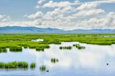 中央宣传部、自然资源部联合发布“最美自然守护者”