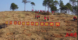 武冈：义务植树添新绿 经济林种下“绿色银行”