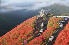 海报｜植树节去湖南，我“氧”你