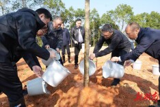 省水利厅开展义务植树活动