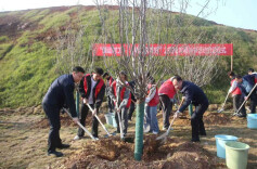 绿动财工、“碳”索美好！湖南财工职院举行2026年植树节活动