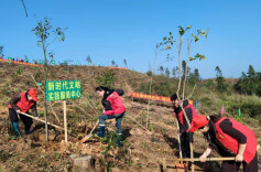 新宁：春风植绿为美丽家园添新彩