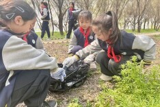 安乡县围庵小学：植绿护河践初心 携手守护母亲河