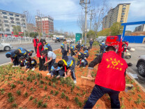 娄底先锋实验学校：大手拉小手 添绿更爱绿
