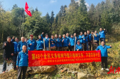 武冈志愿者植绿护鸟，践行生态责任