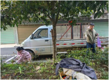 双牌：党建引领学雷锋 志愿服务美家园