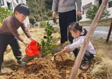 石门维新镇中心幼儿园：植绿添新苗 橙香润童心