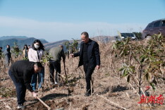 山林添绿植树时