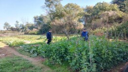 大祥区火车南站街道：拉网排查除毒株 源头管控零容忍