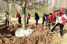 同唱一首歌 共育一片林 雨花区开展全民义务植树活动