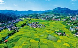 郑湘：乘势而上 书写强县新篇章