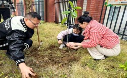 石门：乡村孩子种下属于自己的“成长树”