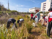 党建共建学雷锋 洁净家园践初心