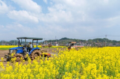 春耕“抢鲜”进行时，衡阳气象人田间“把脉”护青苗