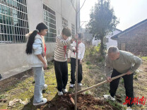 娄星区小碧中心小学举办植树节主题活动