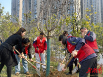 长沙星河社区：“长沙好人”与身边好人“共植一棵树”