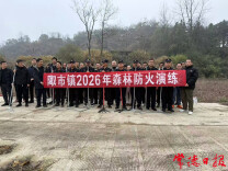 桃源陬市镇：开展森林防火应急演练 筑牢森林生态安全防线