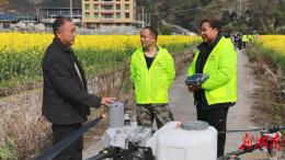 辰溪县召开油菜飞防植保现场演示会