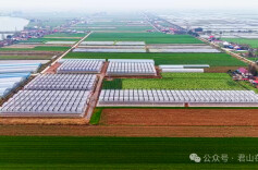 三十而立·岁与君和⑬ | 从“土里刨食”到“苗上生金”——君山育苗三十年跨越记