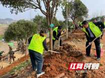 为春添加一抹绿——怀化市生态环境局溆浦分局开展义务植树活动